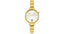 Nomination Gold Coloured CZ Watch