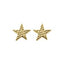 Chlobo Sparkle Star Stud Earrings