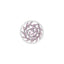 Emozioni Compassion Coin