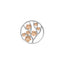Emozioni Fiore Coin - Rose Gold Plate
