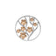 Emozioni Fiore Coin - Rose Gold Plate