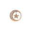 Emozioni Notturno Drop Coin - Rose Gold Plate