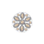 Emozioni Spirituality Champagne Coin