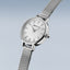 Bering Classic Watch