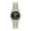 BOSS Two Tone Stainless Steel Ladies Watch