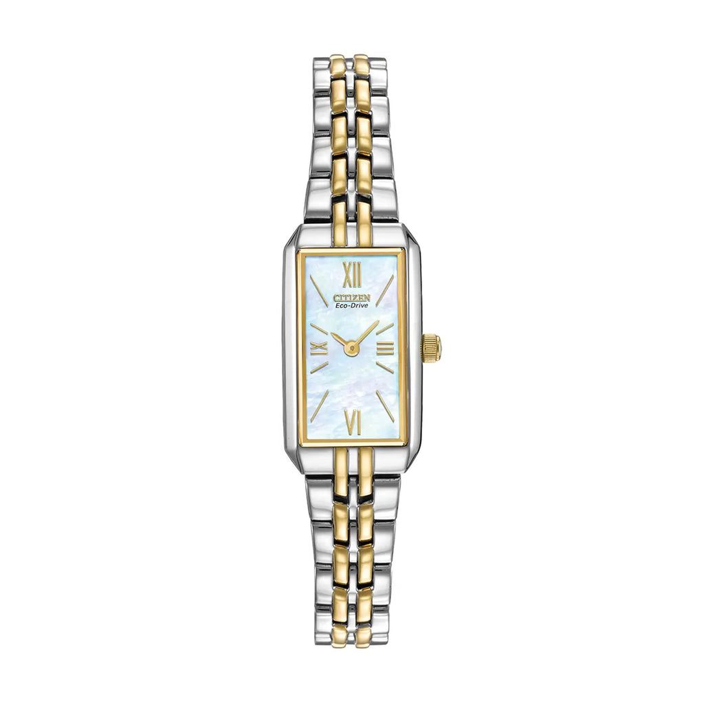Citizen Two Colour Watch
