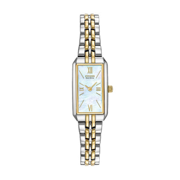 Citizen Two Colour Watch