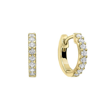 Diamonfire Gold Plated CZ Hoops