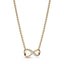 Pandora Infinity Necklace