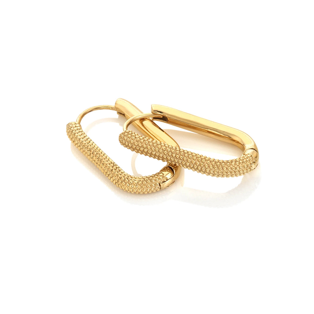 Ava & Sky Carabiner Link Earrings