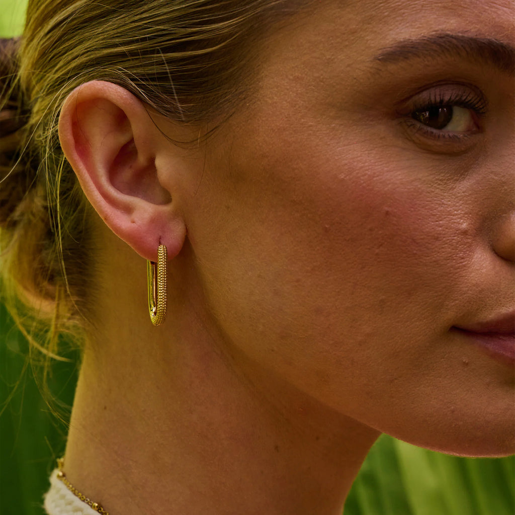 Ava & Sky Carabiner Link Earrings