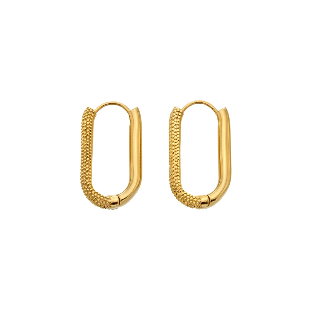 Ava & Sky Carabiner Link Earrings
