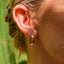 Ava & Sky Chubby Hoop Earrings
