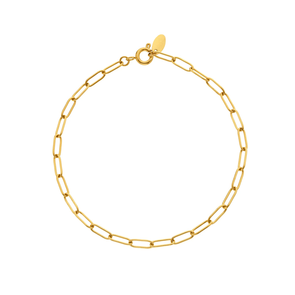 Ava & Sky Paperlink Bracelet