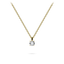 Gisser Round Brilliant Necklace