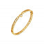 HD X GE Revolve Bangle