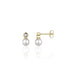 Gisser Bezel and Pearl Earrings