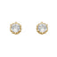 Gold Plated Dotted Edge Earrings