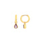 Hot Diamonds Amethyst Earrings