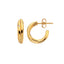 Hot Diamonds Golden Edit Aura Earrings