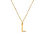 Hot Diamonds Golden Edit Initial Pendant