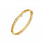 HD X GE Revolve Bangle