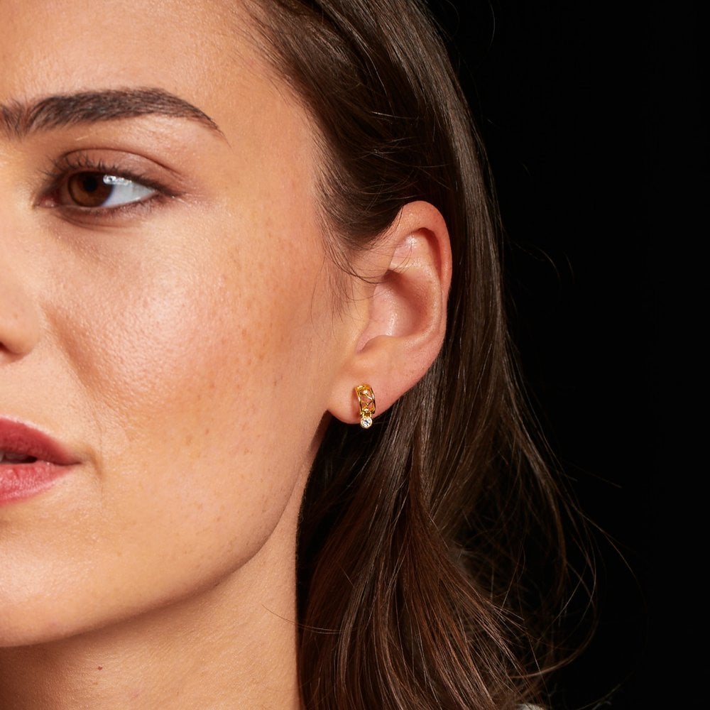 HD X GE Revolve Earrings