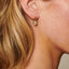 Hot Diamonds Gold Edit Earrings
