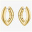 Boss Fiora Gold Tone Hoop Earrings