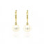 9ct Yellow Gold Pearl hoop earrings