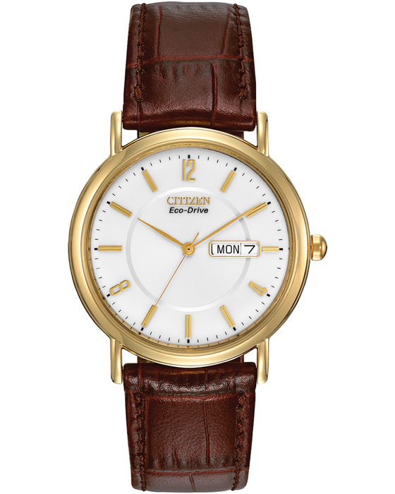 Gents Citizen Eco-Drive Leather Watch