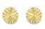 9ct Yellow Gold Earrings