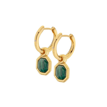 Hot Diamonds x Golden Edit Malachite Earrings